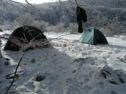 Лагерь в Новогоднее утро