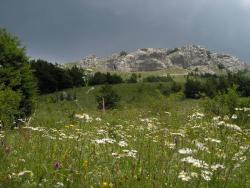 Верхнее плато Караби цветет все лето