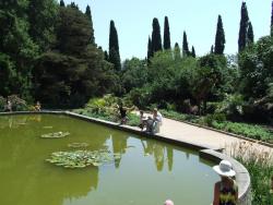 Озеро в Никитском ботаническом саду