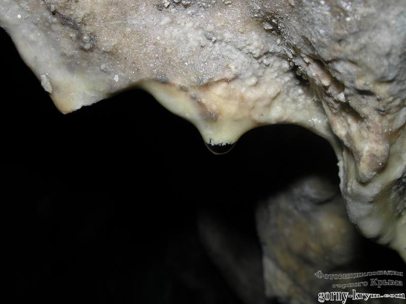Капля на потолке в пещере Бинбаш-Коба (Тысячеголовая)