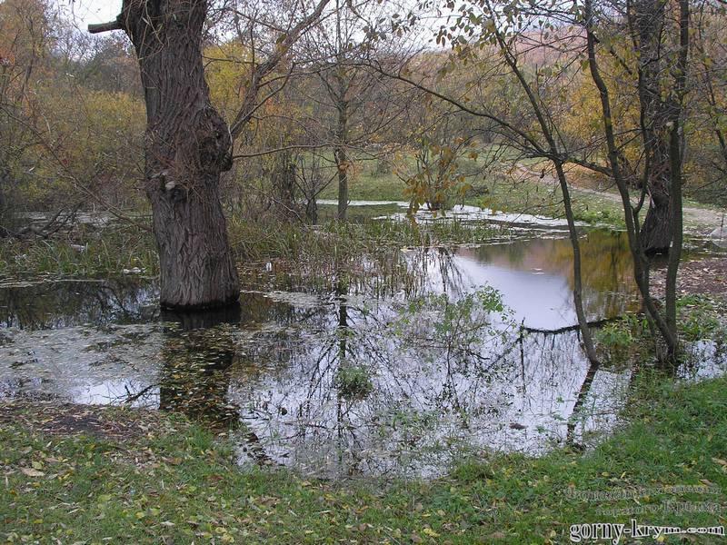 Озеро  у села Соколиное
