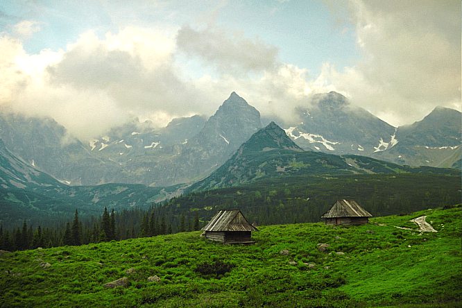 Hala Gąsienicowa - обширный альпийский луг, занимающий большую часть области G Valleysienicowa Valley