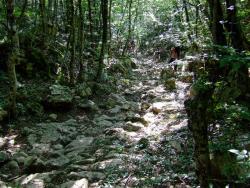 Древнеримская дорога в Карадагском лесу
