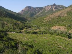 Виноградники в долине реки Ускут