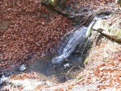 Водопад на ручье в Крымском Природном заповеднике