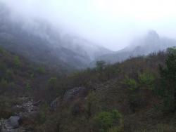 Ущелье Чигенитра в тумане